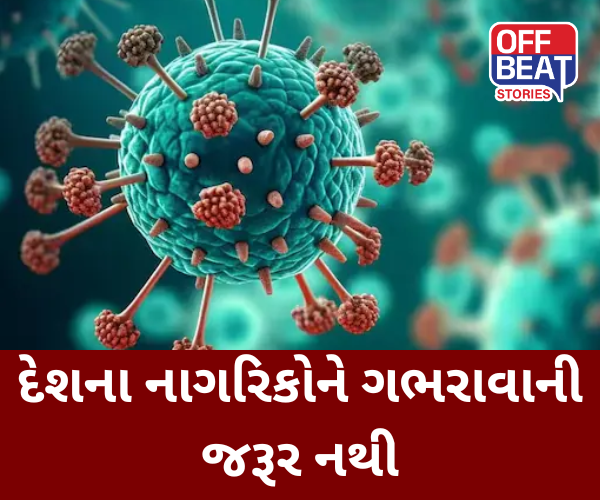 દેશમાં HMPVના 6 કેસ આવ્યા સામે